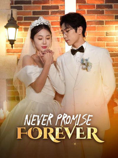 Never Promise Forever